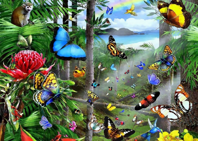 tropical_butterflies.jpg