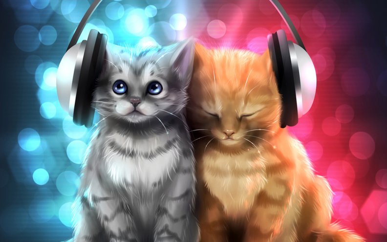 cats_listening_music.jpg