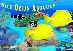 Blue Ocean Aquarium