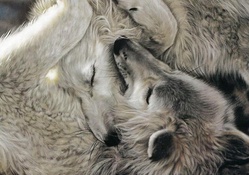 wolfs love