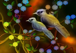 Sweet Couple Birds