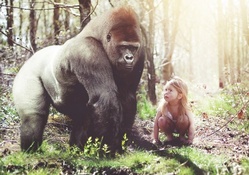 gorilla and child
