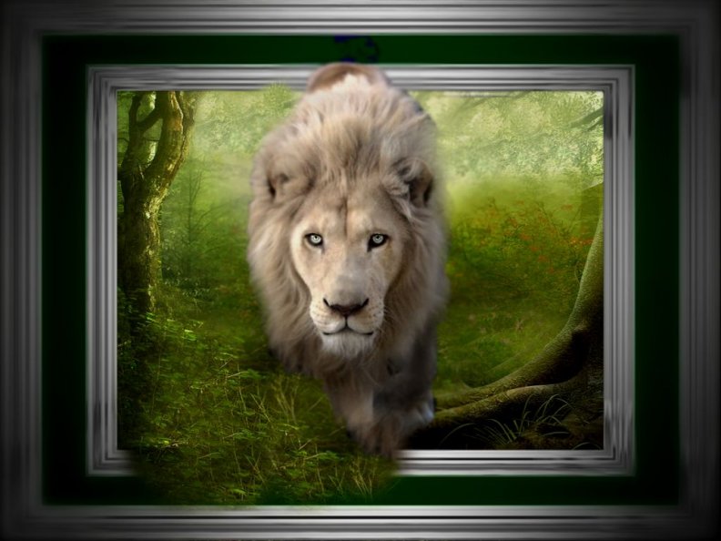 white_lion_on_the_prowl_portrait.jpg