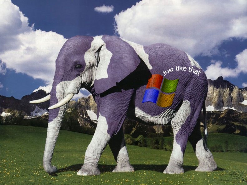 Windows Elephant
