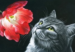 Kitty and flower...