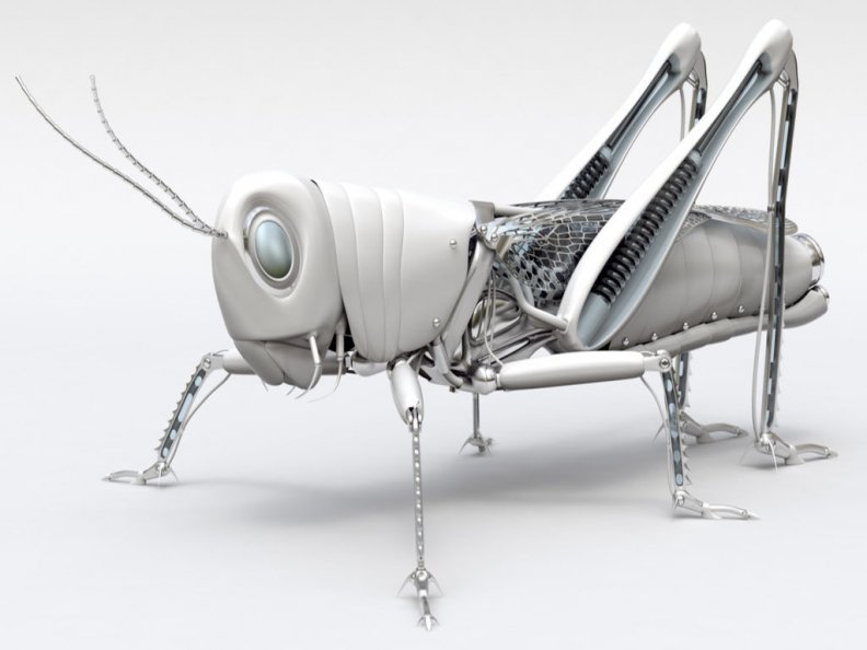 mechanical_grasshopper.jpg