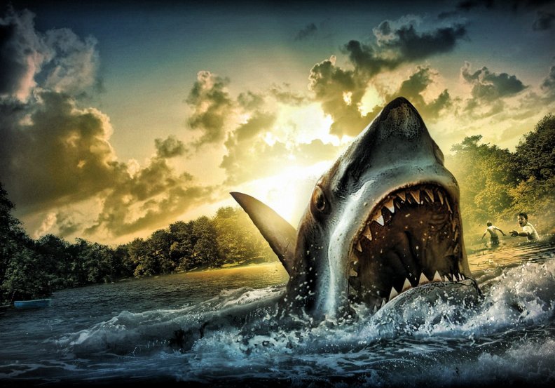 shark_attack_hdr.jpg