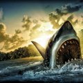 shark_attack_hdr.jpg