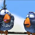 Funny Bluebirds