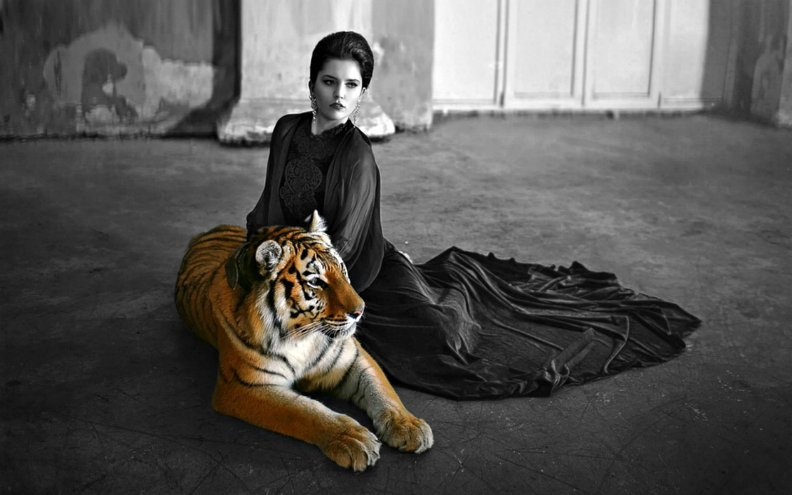 Model with Tiger, Abstract