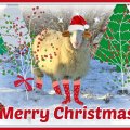 ♥ ***Christmas Sheep*** ♥