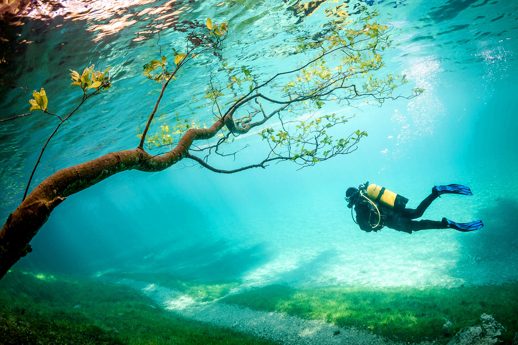 Green Lake Underwater World (1)