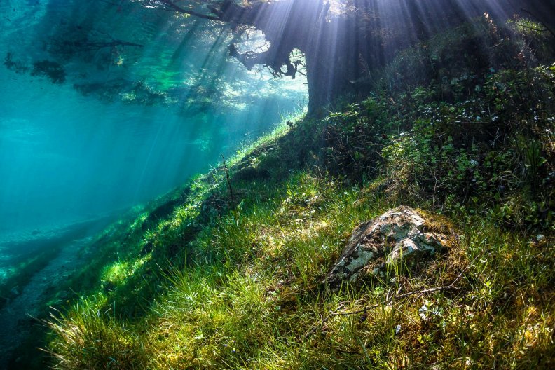 green_lake_underwater_world_6.jpg