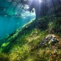 Green Lake Underwater World (6)