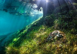 Green Lake Underwater World (6)