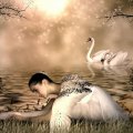 Swan Lady