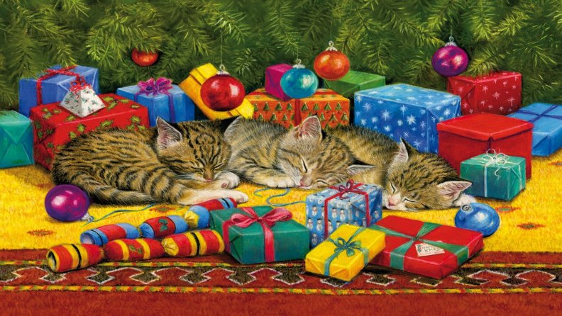 christmas_cat_nap.jpg