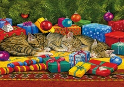 Christmas Cat Nap