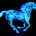 Flaming Ice Horse