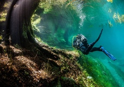 Green Lake Underwater World (7)