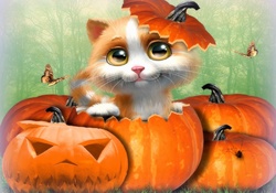 ★Cute Cat Halloween★