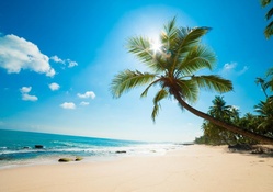 Beautiful Caribbean Beach
