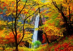 Forest waterfall in autumn