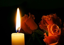 Roses by Candle Light