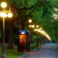 park alley in the evening