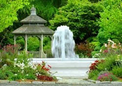 Marvellous garden