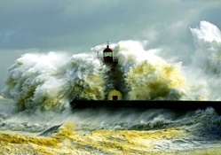 Lighthouse Surf