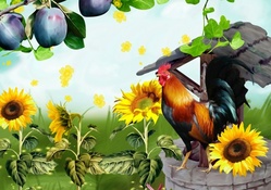 Rooster and Sunflowers