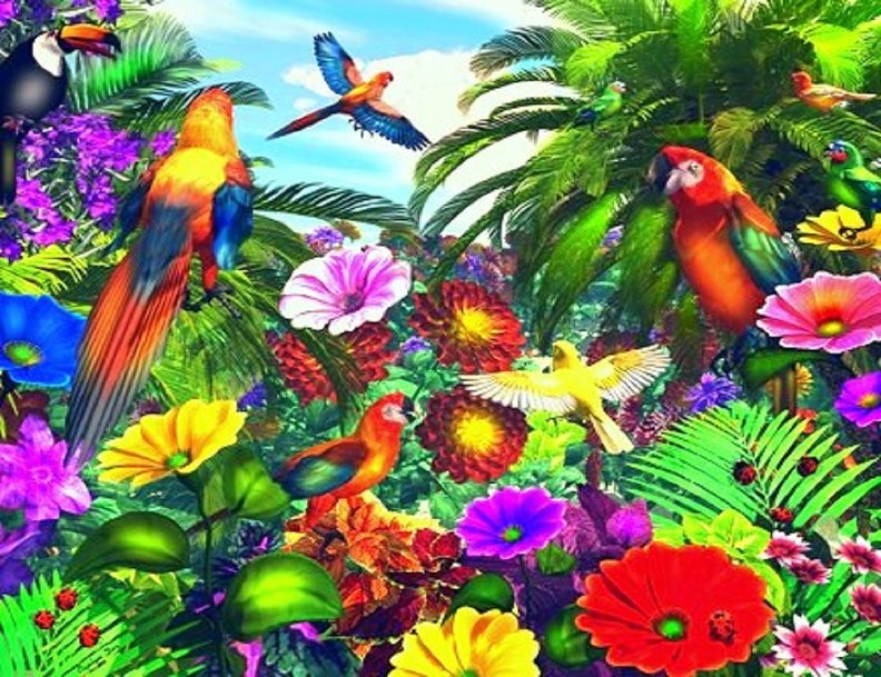 parrot_jungle.jpg