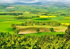 Hepburn Landscape, England