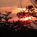 un edited picture of the sun set