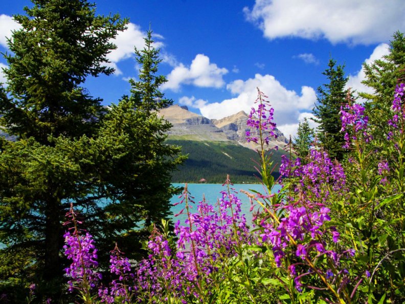 landscape_with_mountain_and_lake.jpg