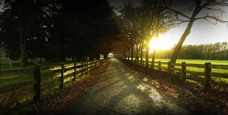 autumnal_road_at_sunset.jpg