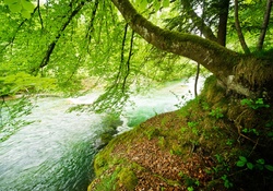 Natural River