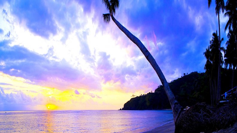 spectacular_tropical_sunset.jpg