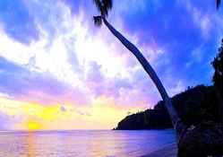 spectacular tropical sunset
