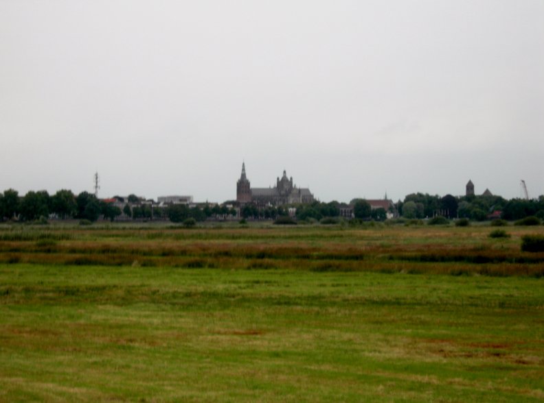 Field with the St. Jans Cathedral in 's Hertogenbosch on the background