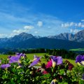 Tirol_Austria