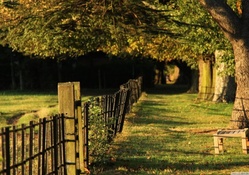 Fence in summer