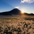sun rays over a field next to mount fuji