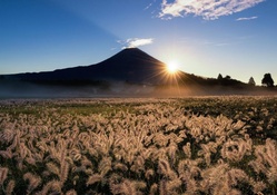 sun rays over a field next to mount fuji