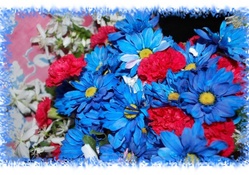 Fourth of July Flowers