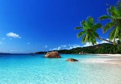 Beach Paradise