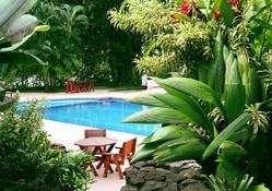 garden pool