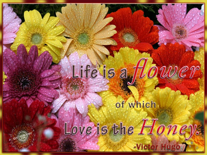 life_is_a_flower_of_which_love_is_the_honey.jpg