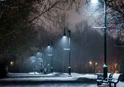 park lamps on a winter night